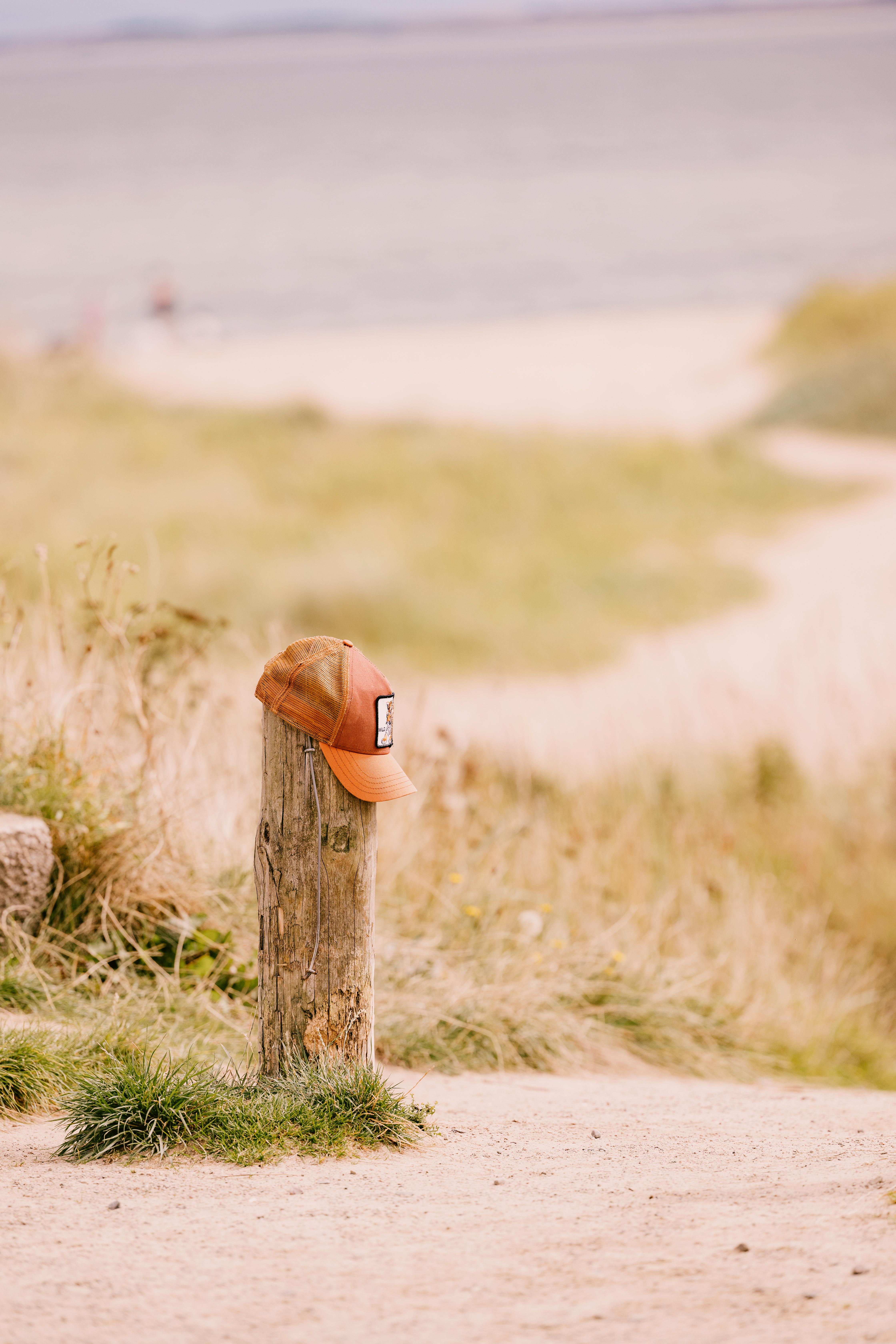 Dornoch Station Hotel Kültér fotó A hat on a fence post